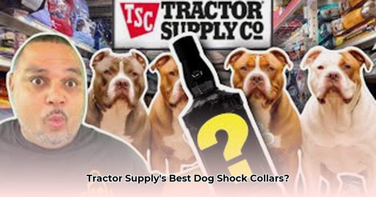 dog-shock-collars-at-tractor-supply